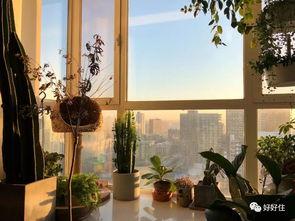 英国利兹落地窗视频吃瓜,瓜界新地标？