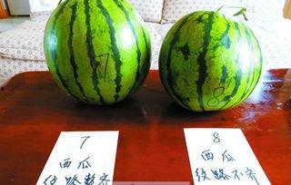 西瓜视频挑瓜吃,轻松掌握挑选技巧