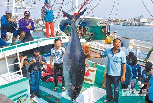 渔民吃瓜台湾事件视频在线观看,视频回顾引发热议