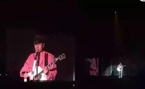 谁的演唱会吃瓜视频最火