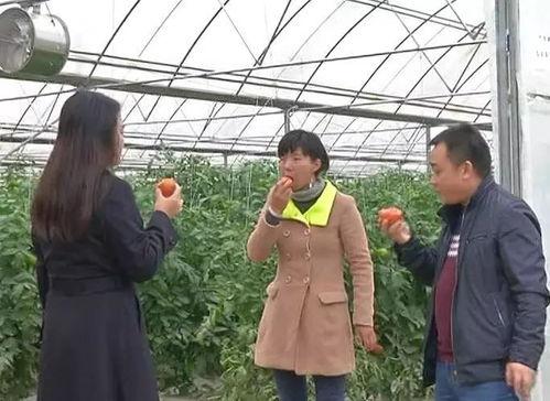 绥阳吃瓜群众事件视频最新,一场网络舆论的风暴与反思